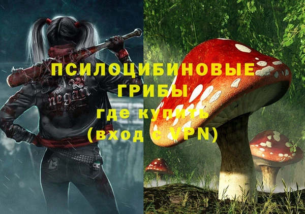 ешки Заводоуковск